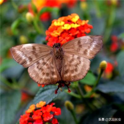 想不想修真渠道版下载