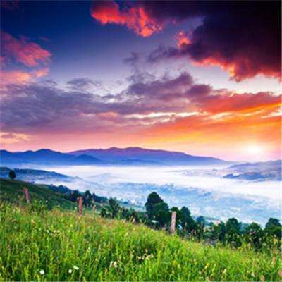 卧龙合击2020最新版下载